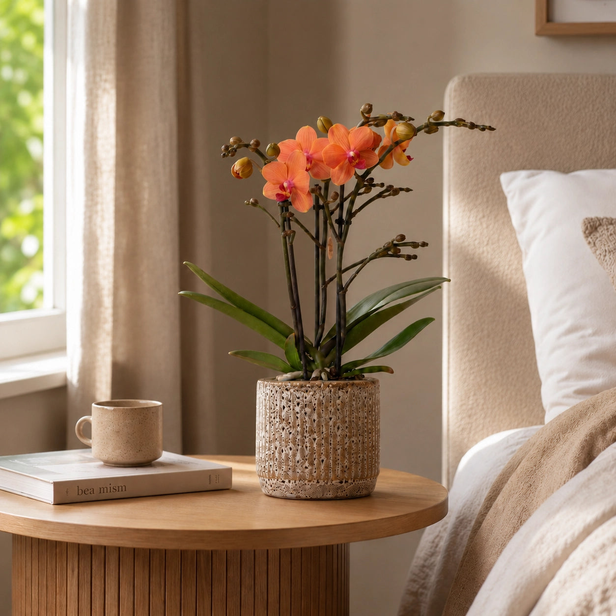 Oranje Phalaenopsis orchidee ‘Bolzano’ met Jaguar sierpot – Ø9 cm