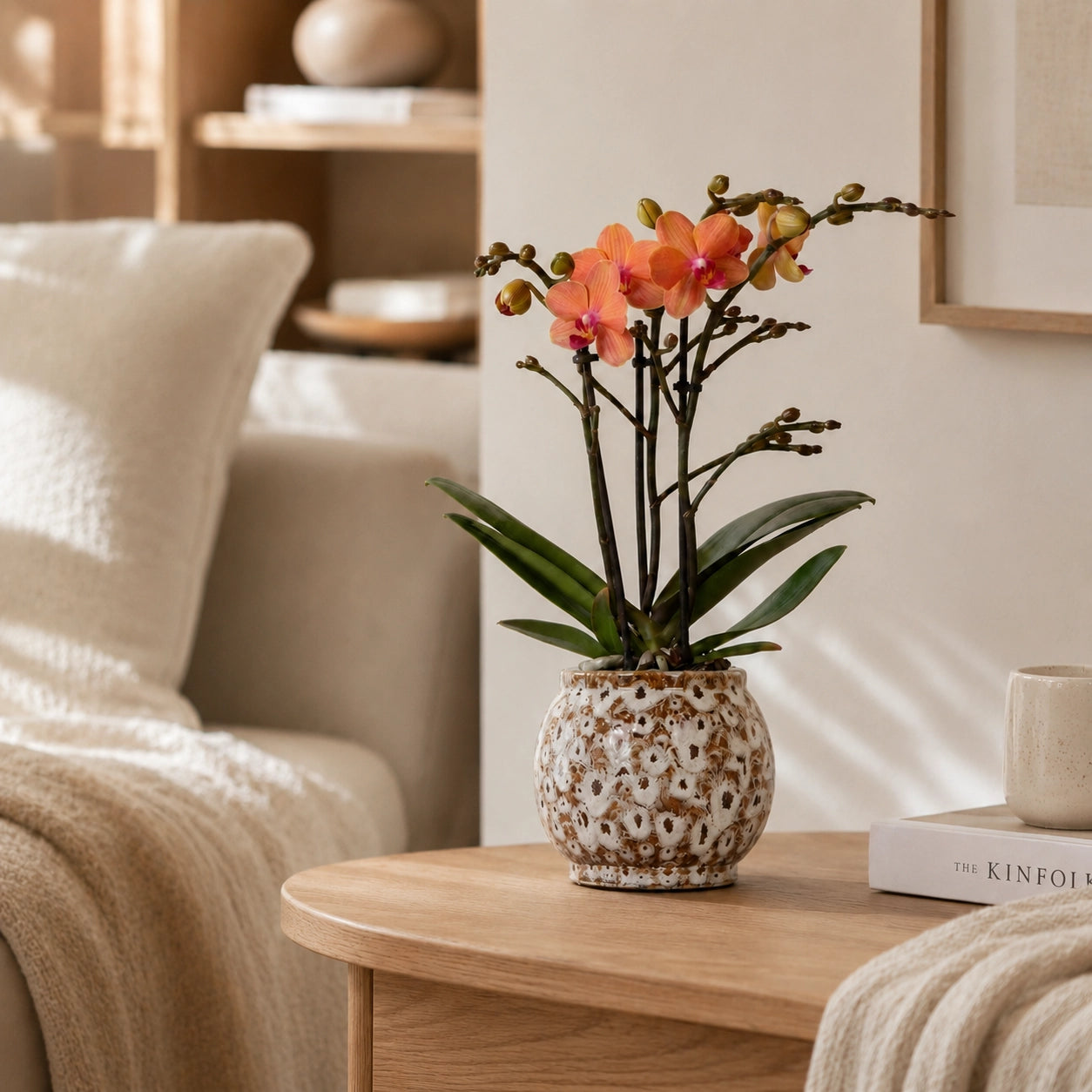 Oranje Phalaenopsis orchidee ‘Bolzano’ met Safari sierpot – Ø9 cm