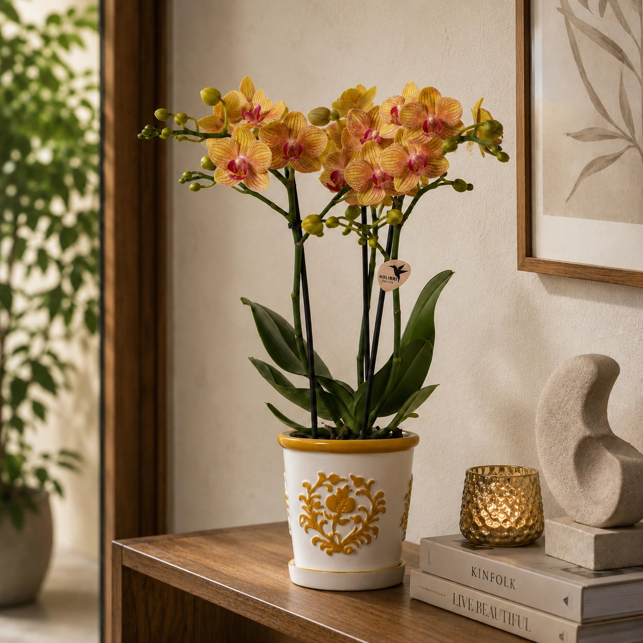 Oranje Phalaenopsis orchidee ‘Jamaica’ met Malaga sierpot – Ø9 cm