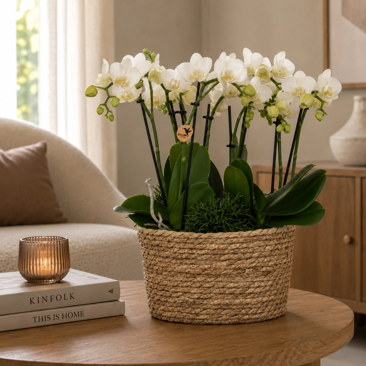 Plantenarrangement met 3 witte Phalaenopsis ‘Amabilis’ en 3 groene planten – Cotton mand met waterreservoir