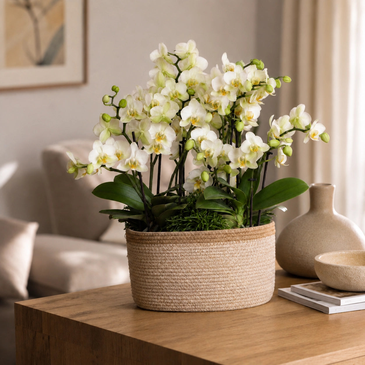 Plantenarrangement met 3 witte Phalaenopsis ‘Lausanne’ en 3 groene planten – Cotton mand met waterreservoir
