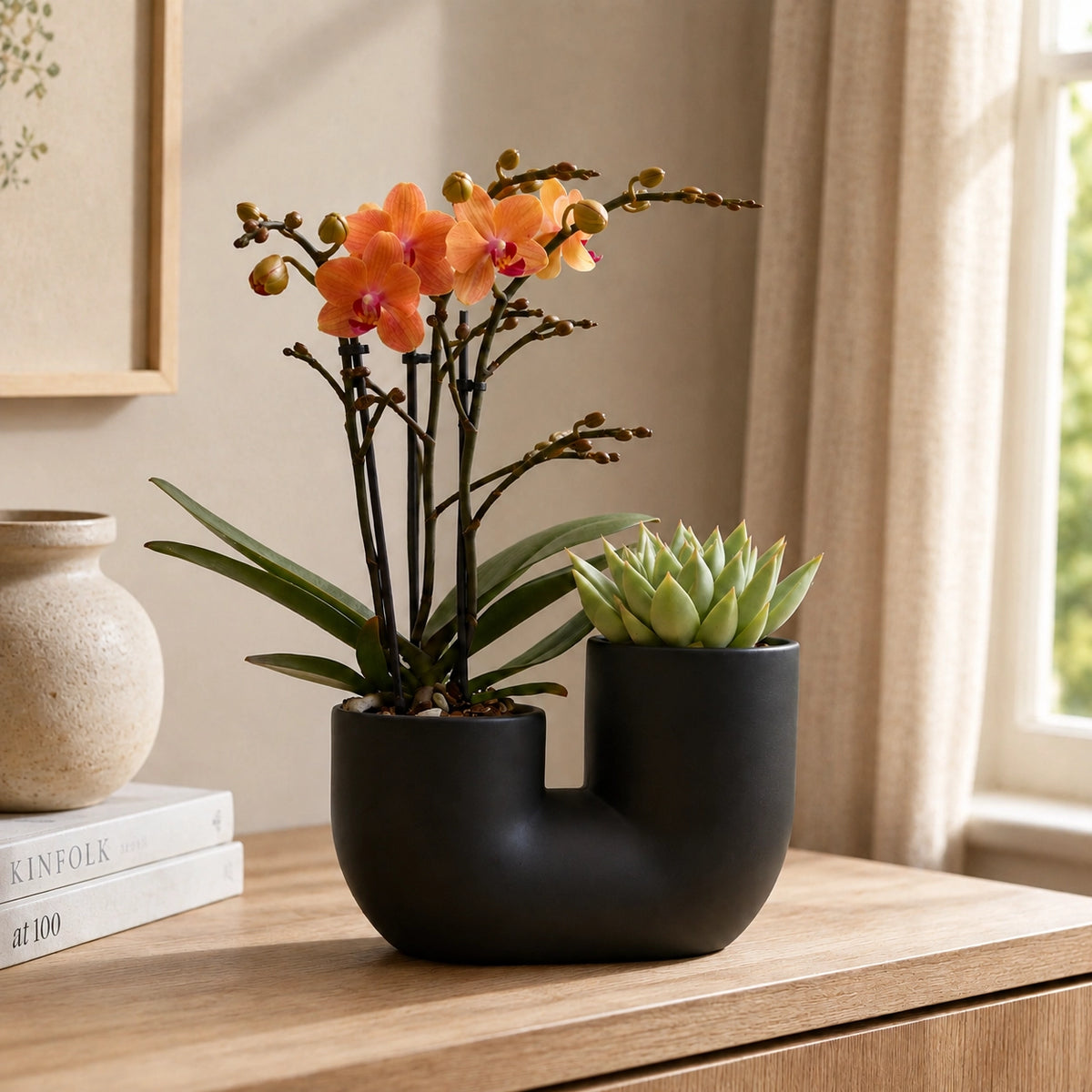 Plantenset met oranje Phalaenopsis orchidee ‘Bolzano’ en succulent – Tube sierpotten Ø9 cm