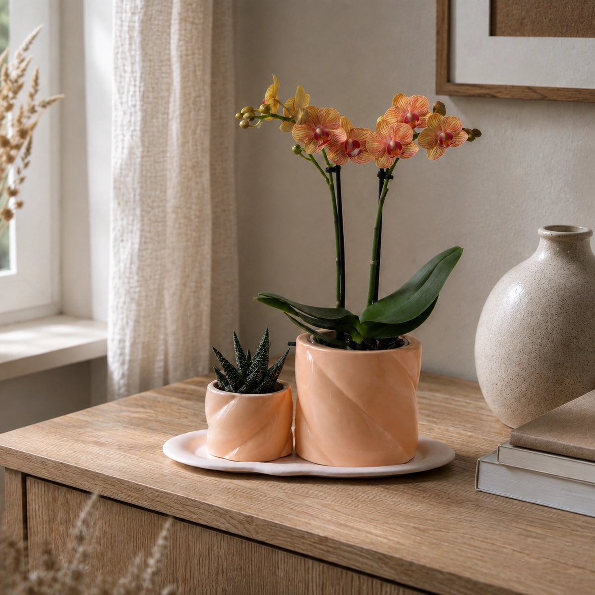 Plantenset met oranje Phalaenopsis orchidee en groene plant – Optimism Peach Candy sierpotten met dienblad