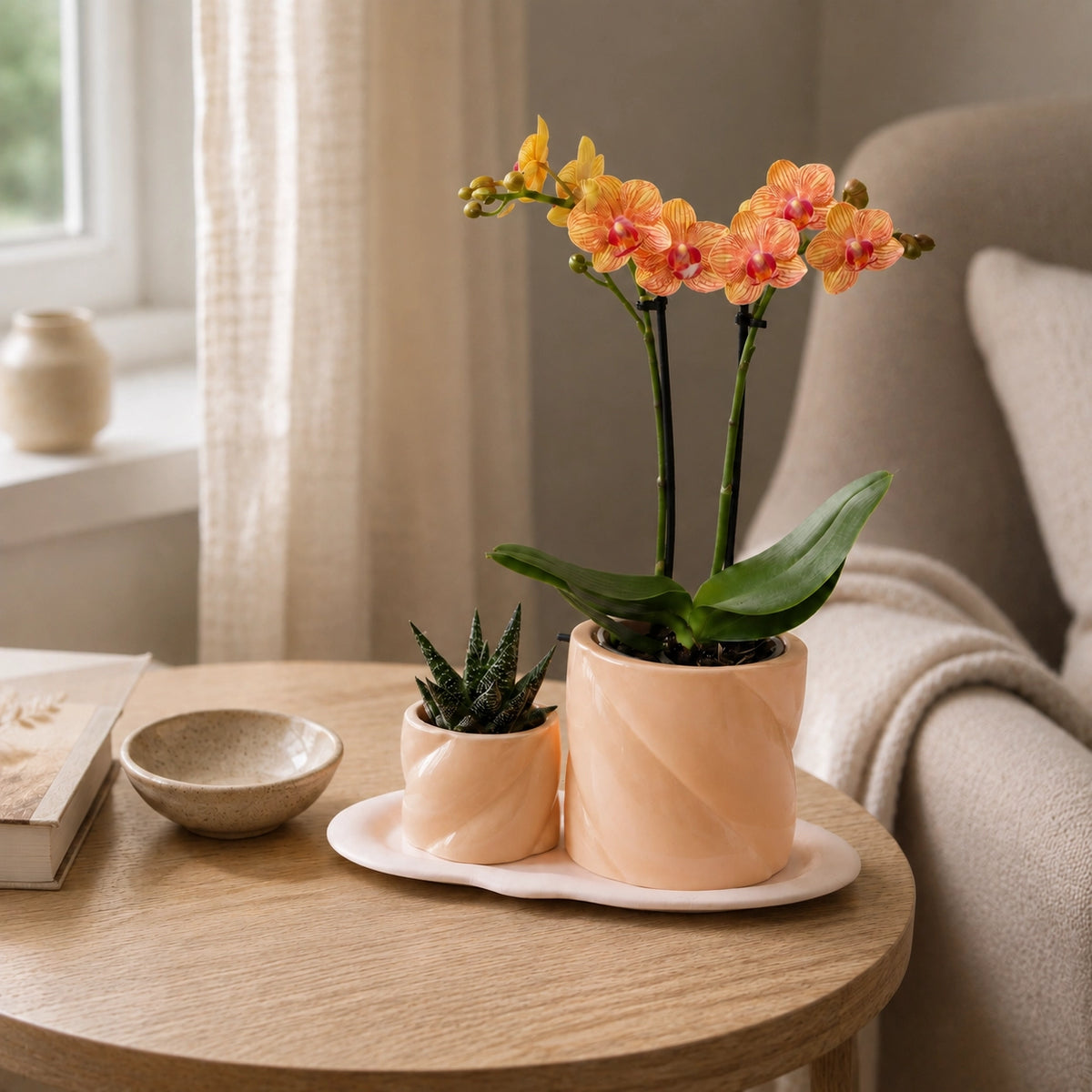 Plantenset met oranje Phalaenopsis orchidee en groene plant – Optimism Peach Candy sierpotten met dienblad