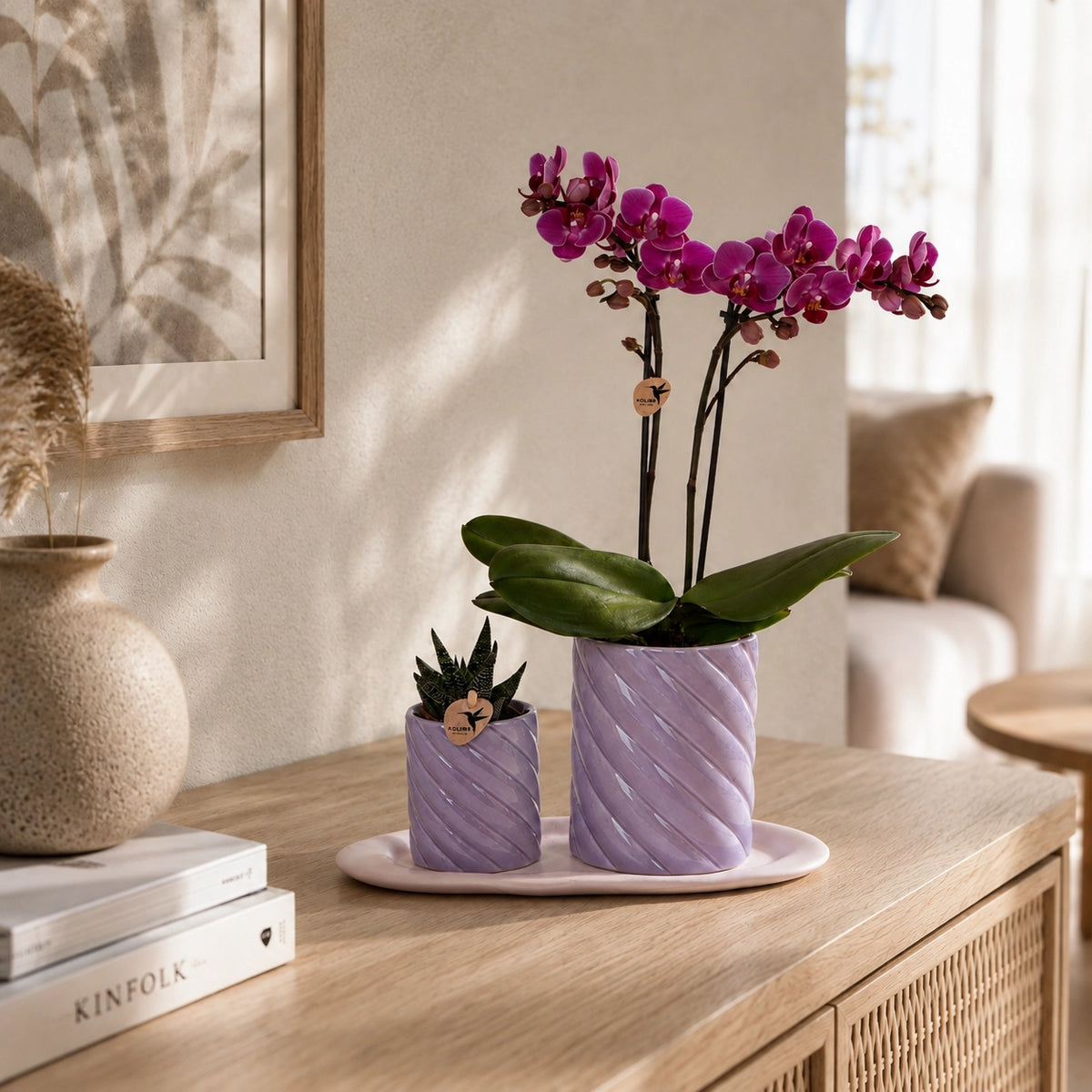 Plantenset met paarse Phalaenopsis orchidee ‘Morelia’ en groene plant – Candy sierpotten met dienblad