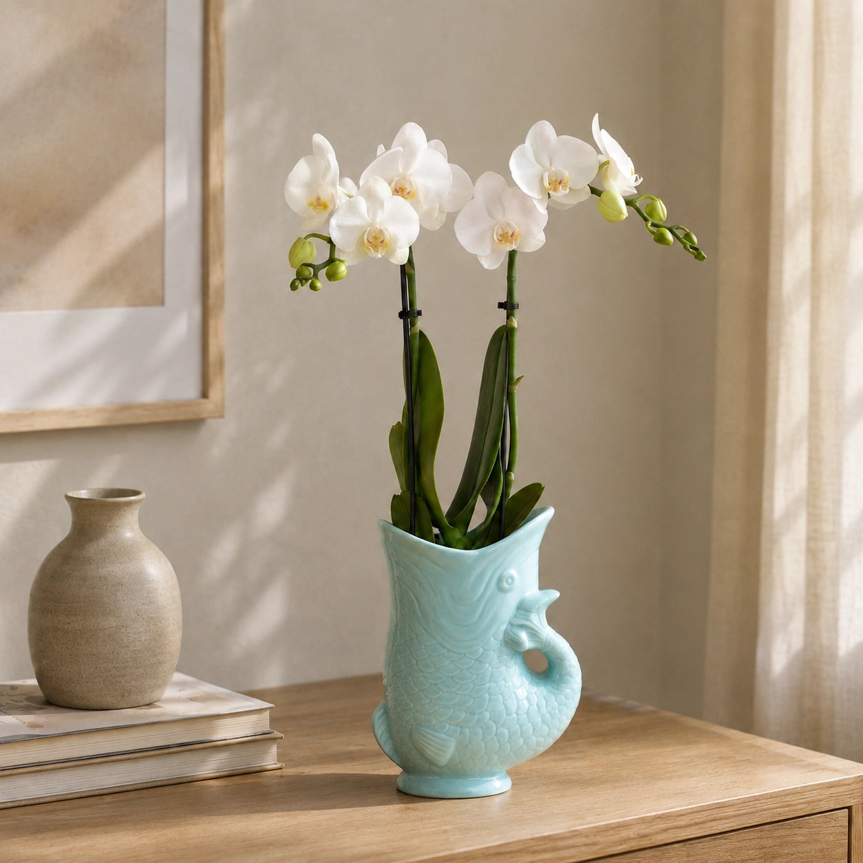 Witte Phalaenopsis orchidee ‘Amabilis’ met Fish sierpot – Ø9 cm