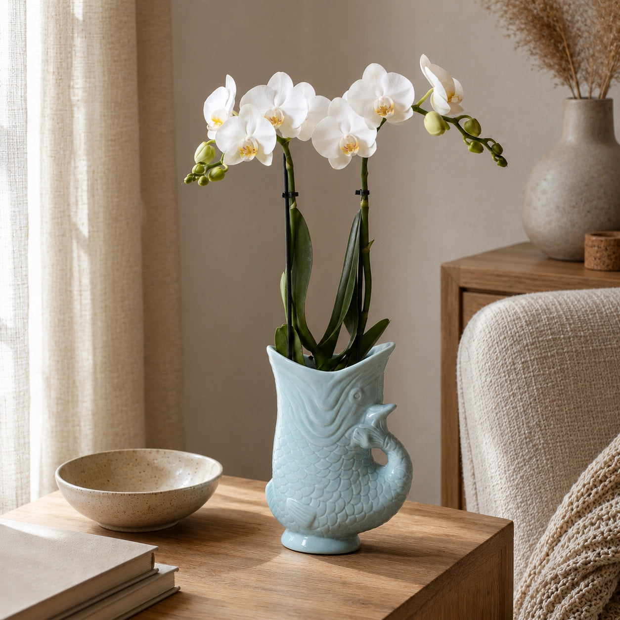 Witte Phalaenopsis orchidee ‘Amabilis’ met Fish sierpot – Ø9 cm