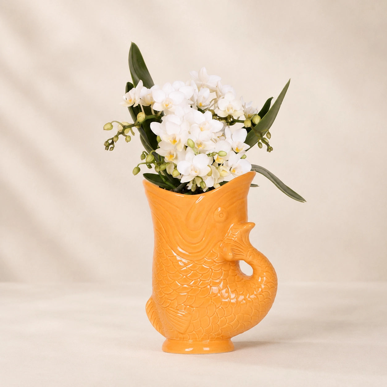 Witte Phalaenopsis orchidee ‘Nazaré’ met oranje Fish sierpot – Ø9 cm